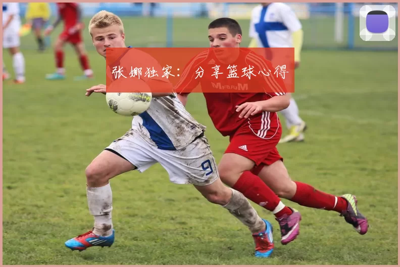 张娜独家：分享篮球心得