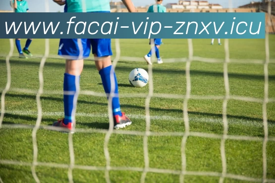 星空体育注册APP 封面图